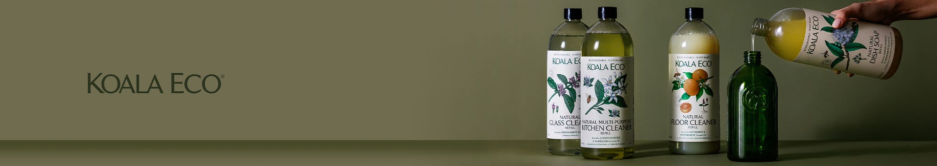 Koala Eco