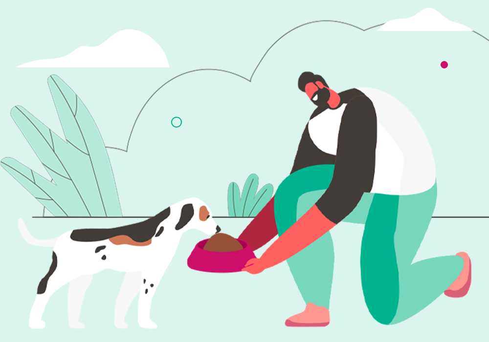 Conscious pet care 