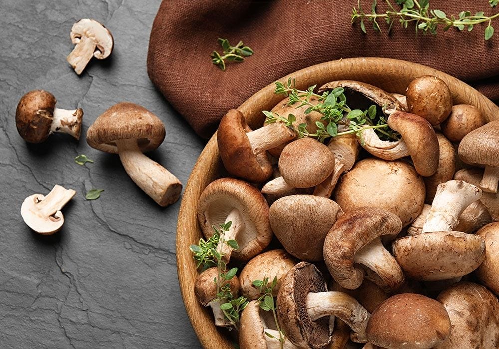The Functional Mushroom Movement